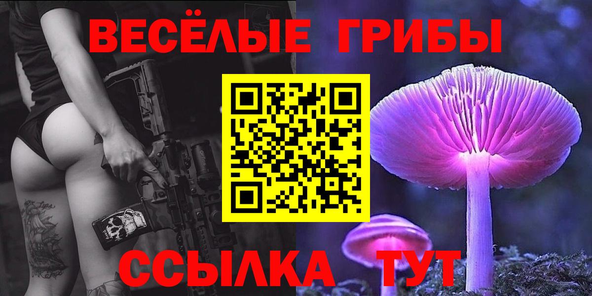 где найти   Вход с VPN  Брянск  Псилоцибиновые грибы Psilocybine cubensis 